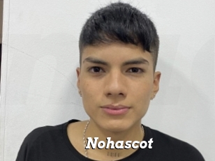 Nohascot