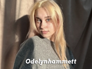 Odelynhammett