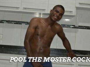 POOL_THE_MOSTER_COCK