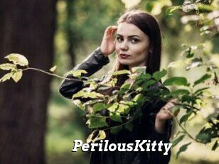 Perilous_Kitty