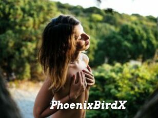 PhoenixBirdX