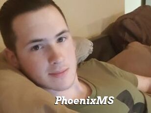 PhoenixMS