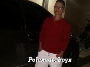 Polexcuteboyx