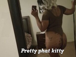 Pretty_phat_kitty