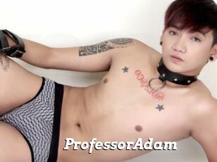 ProfessorAdam
