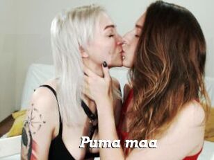 Puma_maa