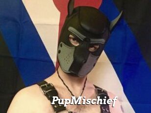 PupMischief