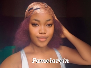 Pamelarein