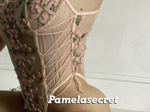 Pamelasecret