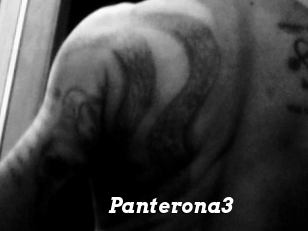 Panterona3