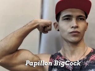 Papillon_BigCock