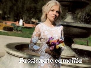 Passionate_camellia