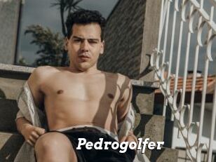 Pedrogolfer