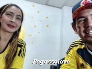 Pegasso_love