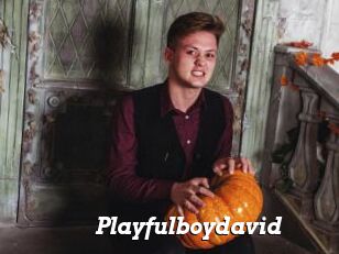 Playfulboydavid