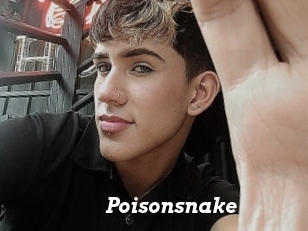 Poisonsnake