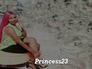 Princess23