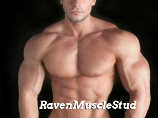 RavenMuscleStud