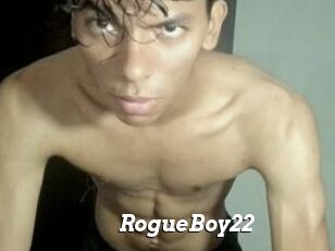 RogueBoy22