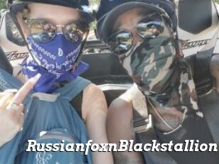 RussianfoxnBlackstallion