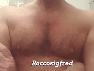 Roccosigfred