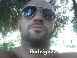 Rodrigo77