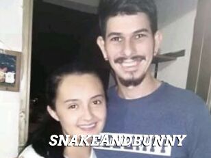 SNAKEANDBUNNY