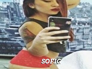 SOFI_G