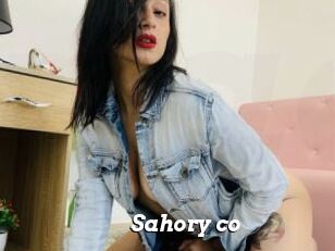 Sahory_co