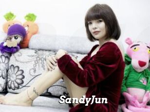 SandyJun