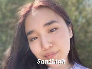 SaniLink