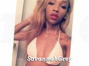 Savannah_Grey