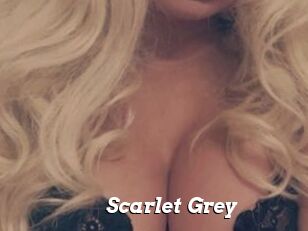 Scarlet_Grey