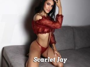 Scarlet_Jay