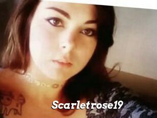 Scarletrose19