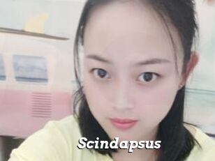 Scindapsus