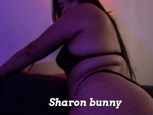 Sharon_bunny