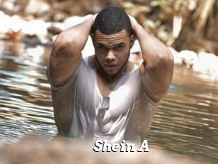 Shein_A