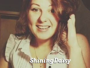 ShiningDaisy