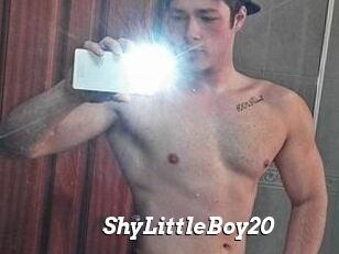 ShyLittleBoy20