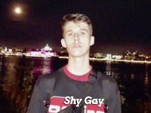 Shy_Gay