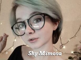 Shy_Mimosa