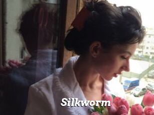 Silkworm