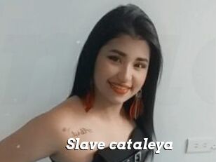 Slave_cataleya