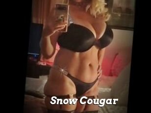 Snow_Cougar