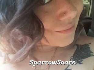 SparrowSoars