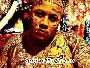 SpiderTheSnake