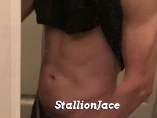 StallionJace