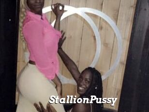 StallionPussy