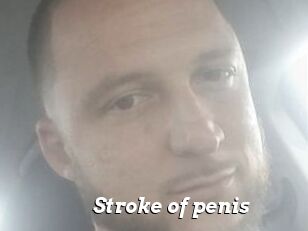 Stroke_of_penis